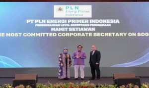 PLN Nepi