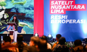 satelit